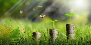 Blockchain e tracciabilità alimentare: sfide e soluzioni per la sicurezza nell’agrifood