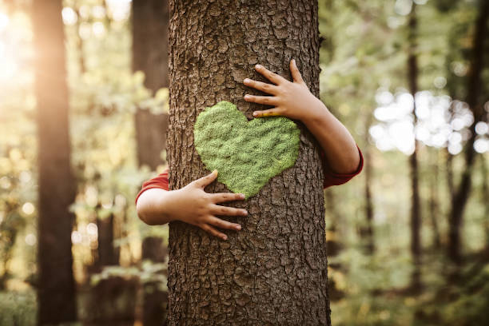 Una vita risvegliata con la natura