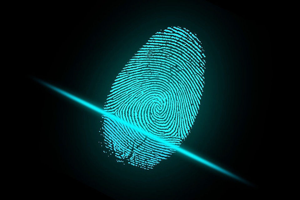 Rivista "Informatica e Diritto"